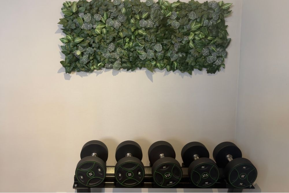 fitnessstudio-fitplus-fockbek-freihanteln